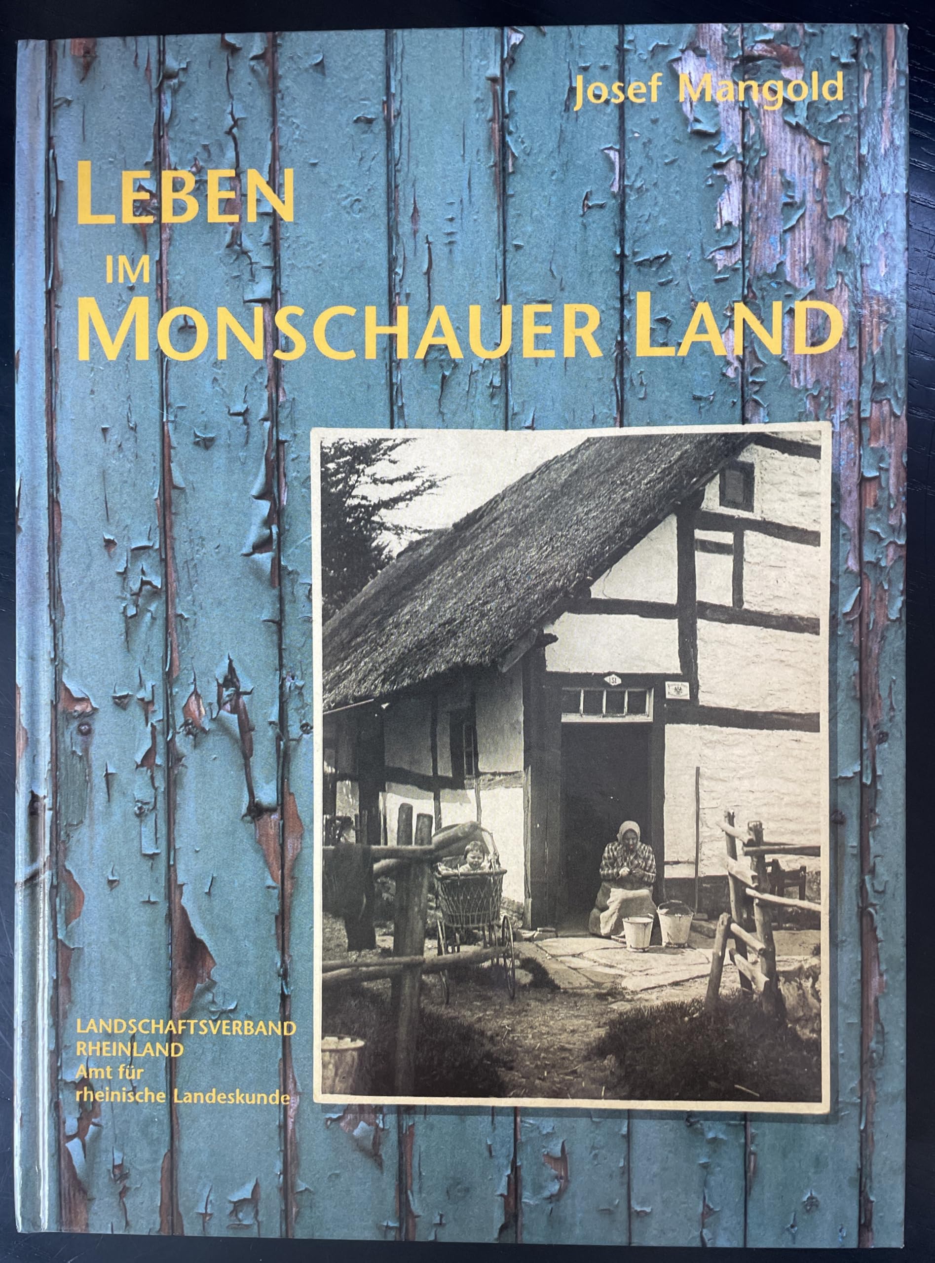 Leben im Monschauer Land. Wohnen und Wirtschaften im Spiegel von Inventarverzeichnissen des 19. Jahrhunderts Books