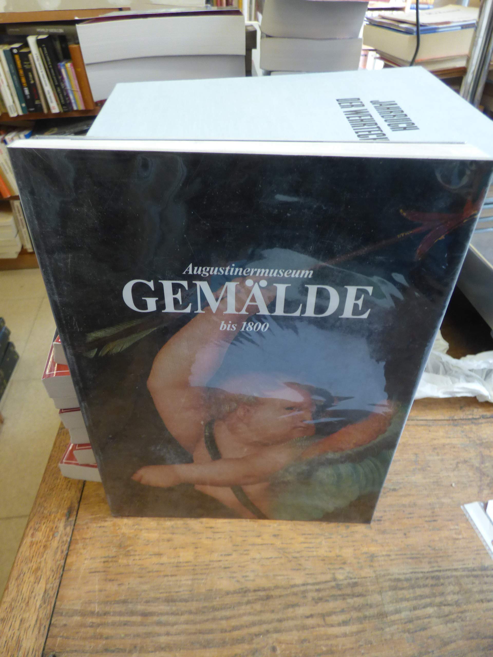 Augustinermuseum Gemälde bis 1800: Auswahlkatalog Books