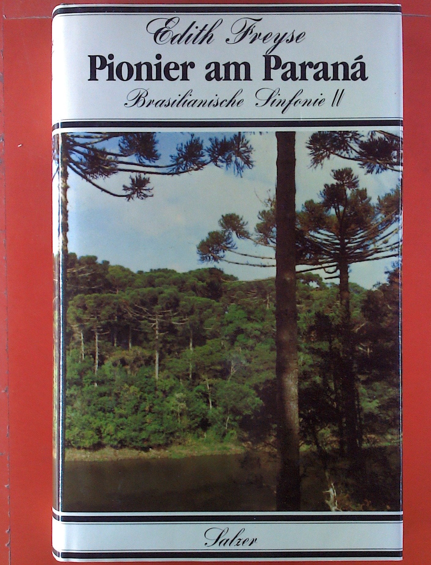Pionier am Paraná. Brasilianische Sinfonie II Books
