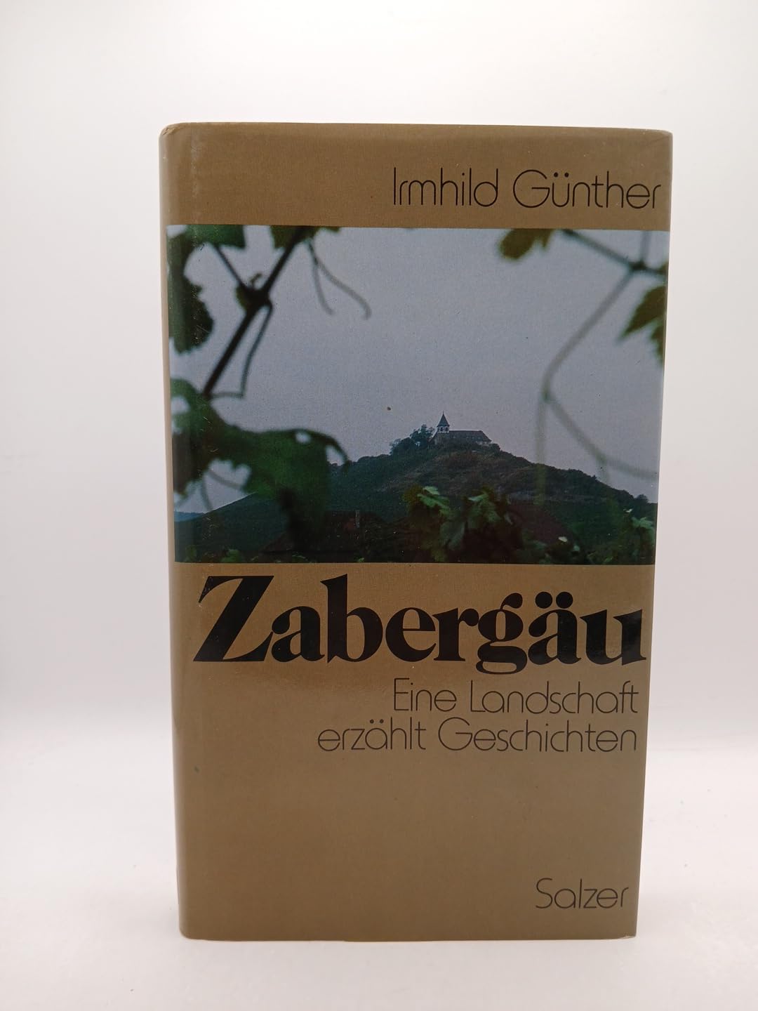Zabergäu. Eine Landschaft erzählt Geschichten Books