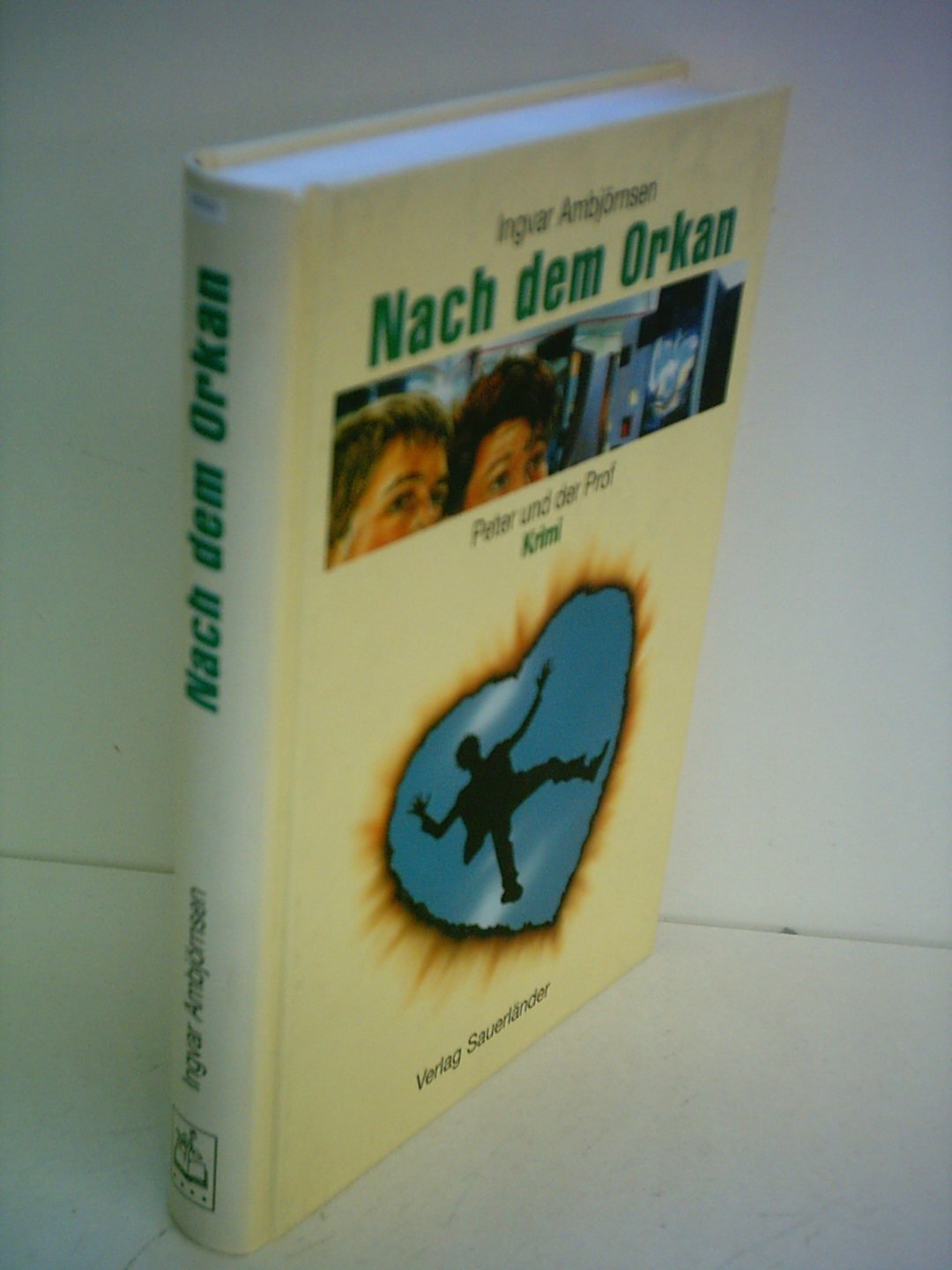 Nach dem Orkan: Krimi Fiction