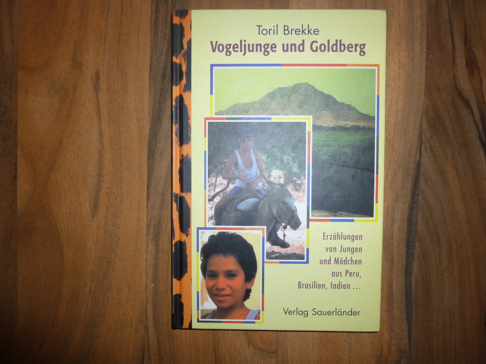 Vogeljunge und Goldberg: Erzählungen von Jungen und Mädchen aus Peru, Brasilien, Indien... Books