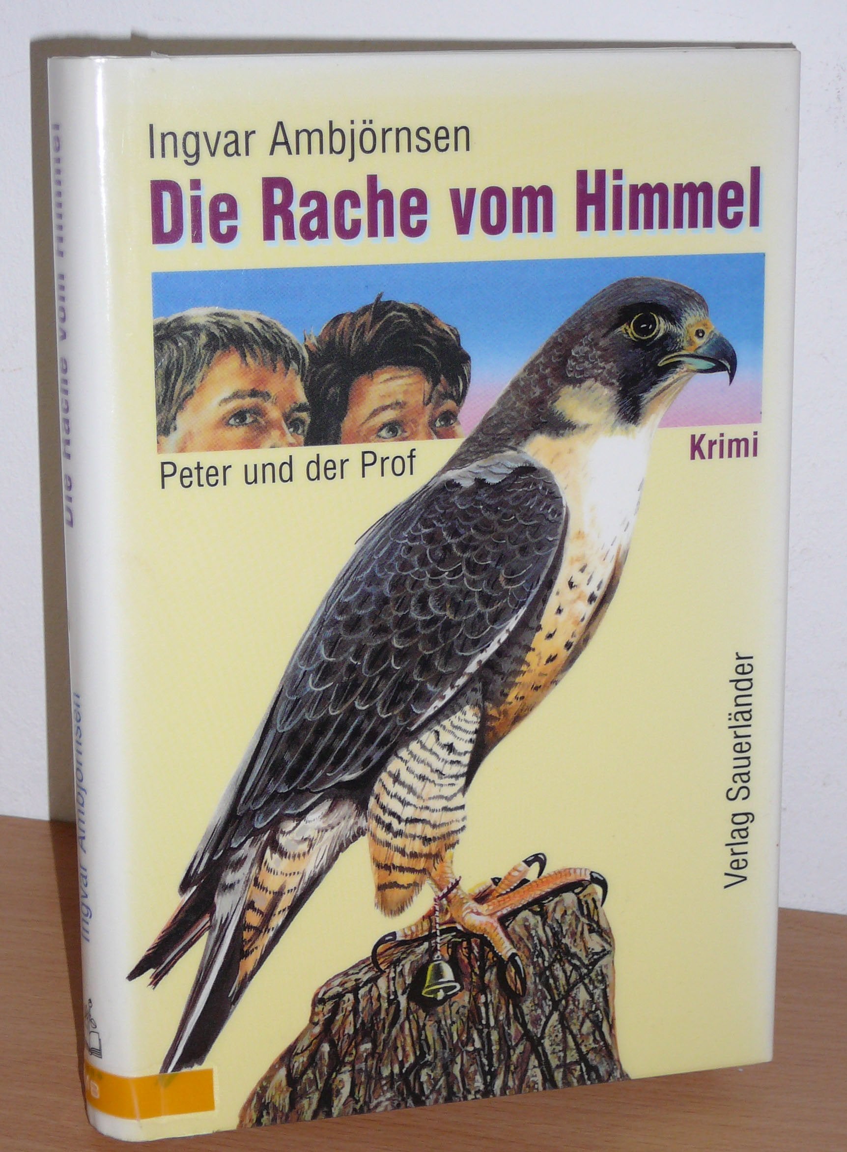 Die Rache vom Himmel : . book