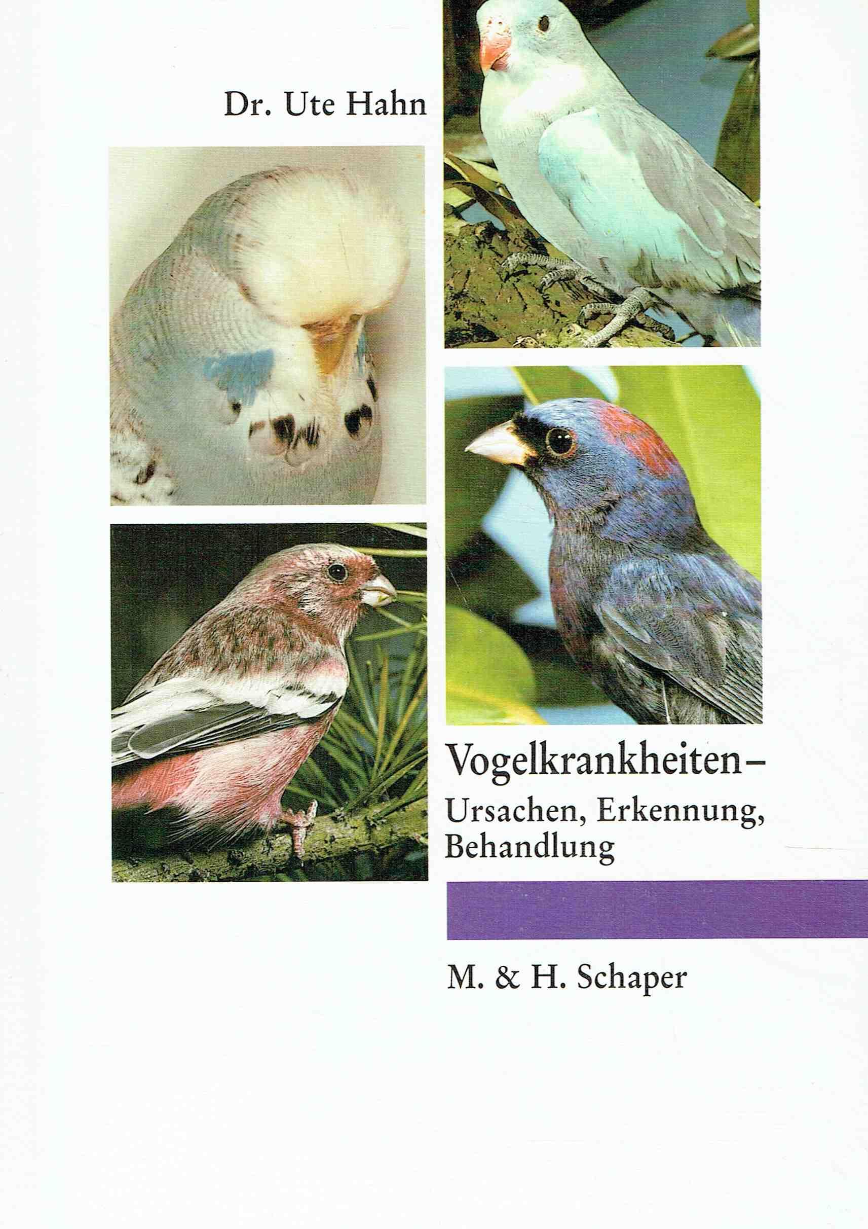 Vogelkrankheiten: Ursachen, Erkennung, Behandlung Medicine