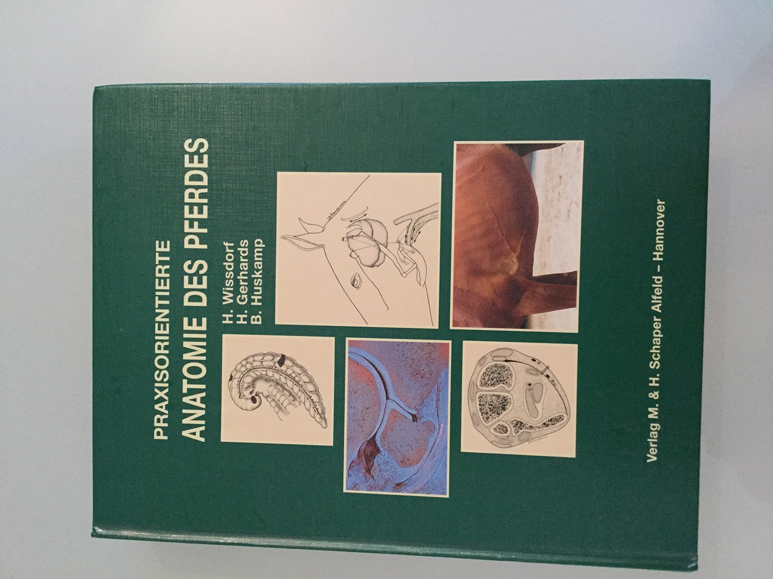 Praxisorientierte Anatomie des Pferdes Medicine