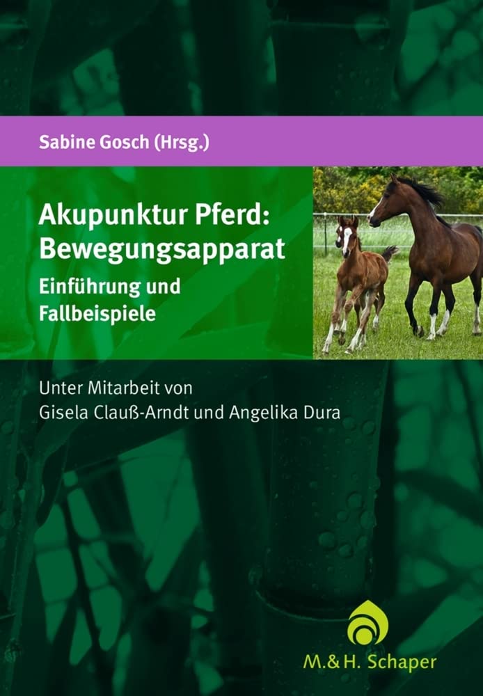 Akupunktur Pferd: Bewegungsapparat Medicine