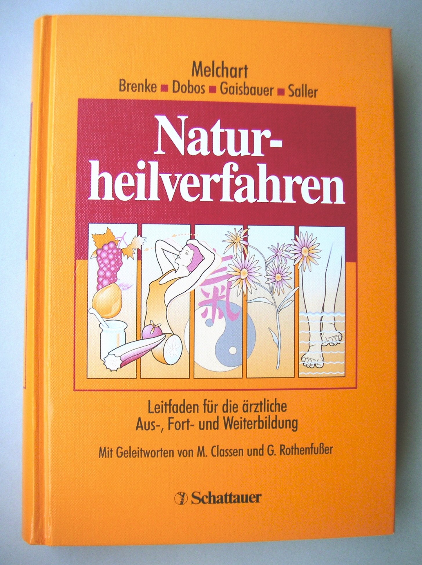Naturheilverfahren: Leitfaden für die ärztliche Aus-, Fort- und Weiterbildung Medicine