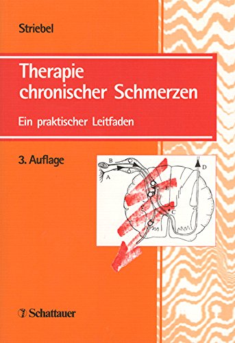 Therapie chronischer Schmerzen: Ein praktischer Leitfaden Medicine