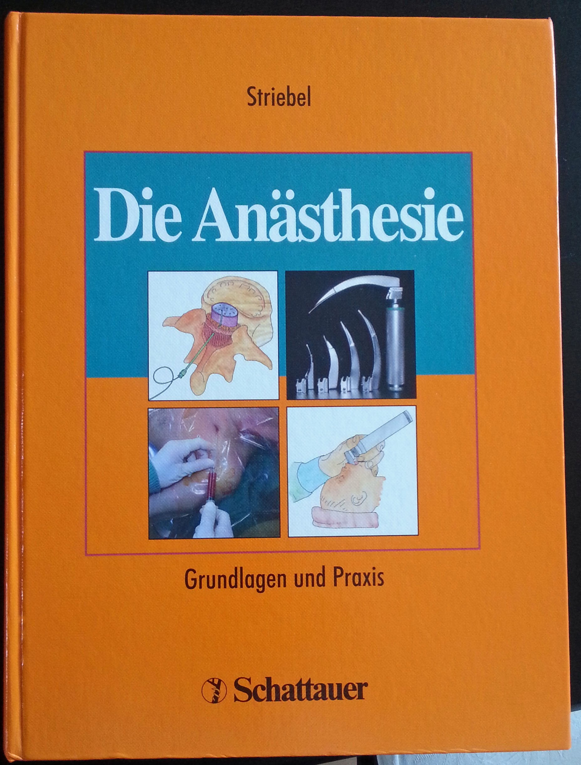 Die Anästhesie: Grundlagen und Praxis Medicine