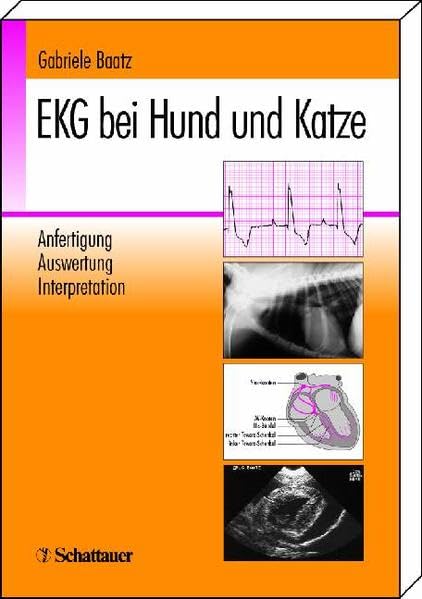 EKG bei Hund und Katze: Anfertigung, Auswertung, Interpretation Medicine