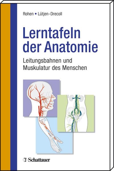 Lerntafeln der Anatomie: Leitungsbahnen und Muskulatur des Menschen Medicine