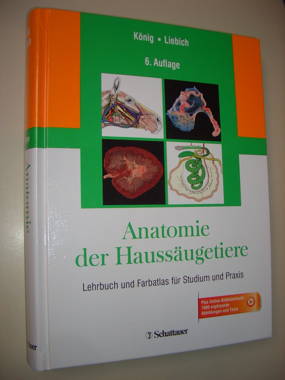 Product Image: Anatomie der Haussäugetiere
