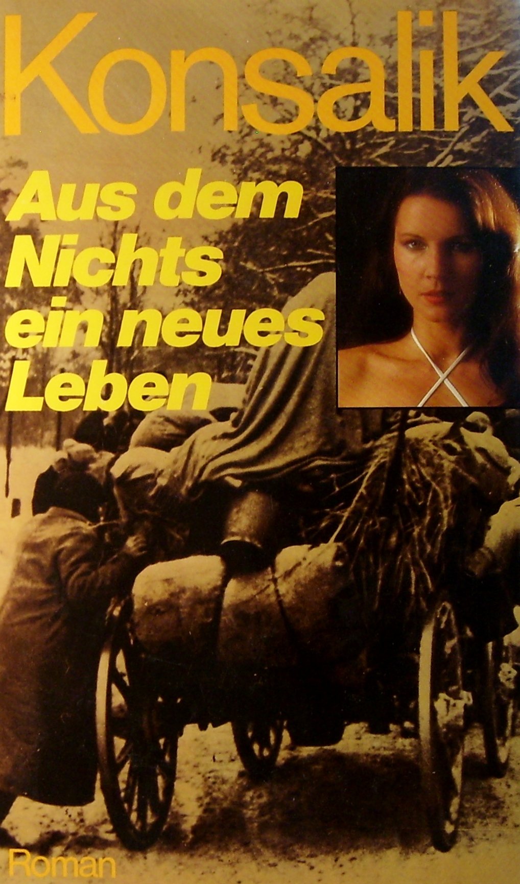 Aus dem Nichts ein neues Leben (5601 681). Roman einer deutschen Familie Books