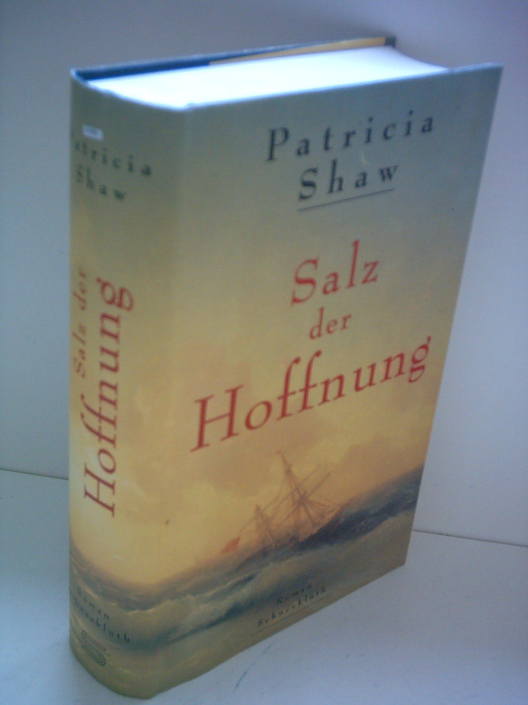 Salz der Hoffnung: Roman Contemporary literature