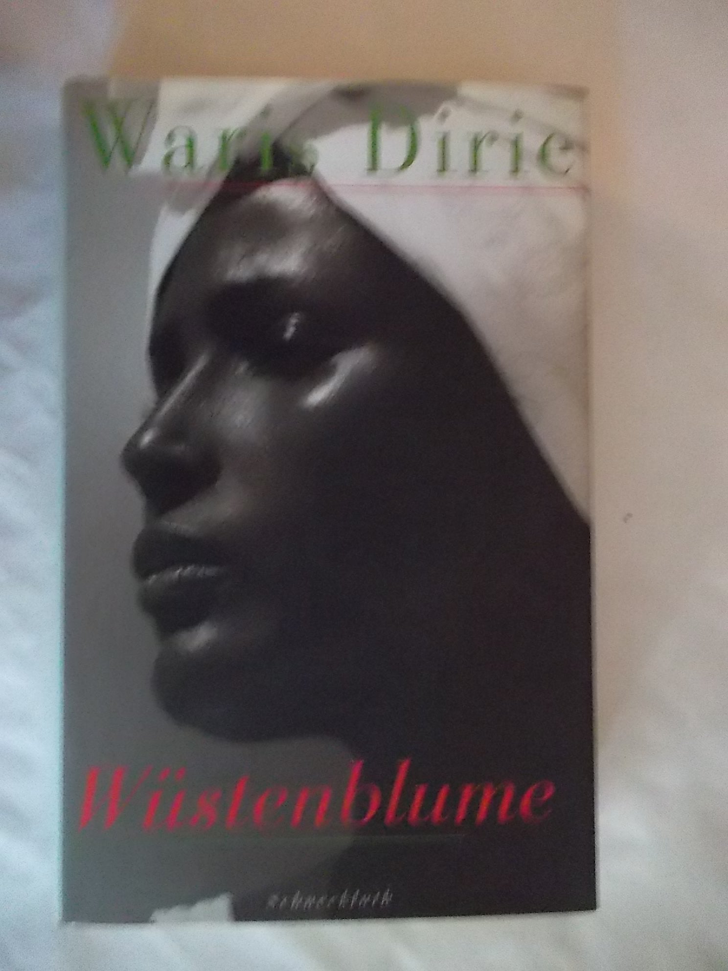 Wüstenblume Politics & Society Books
