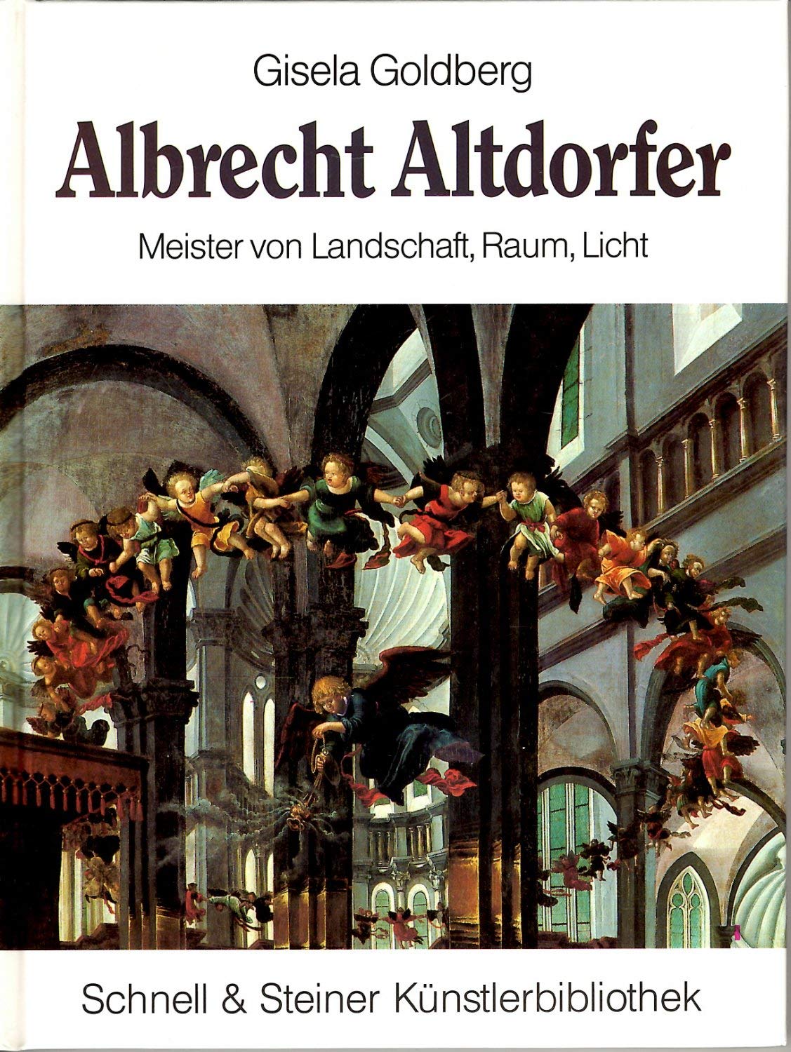 Albrecht Altdorfer: Meister von Landschaft, Raum, LIcht (Schnell & Steiner Künstlerbibliothek) Books