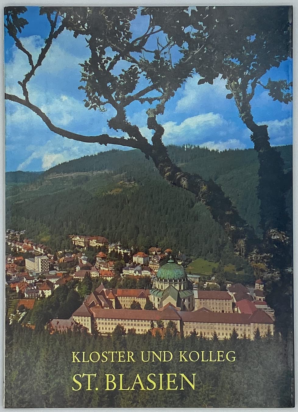 St. Blasien im Schwarzwald : Benediktinerkloster und Jesuitenkolleg Geschichte, Bedeutung, Gestalt book
