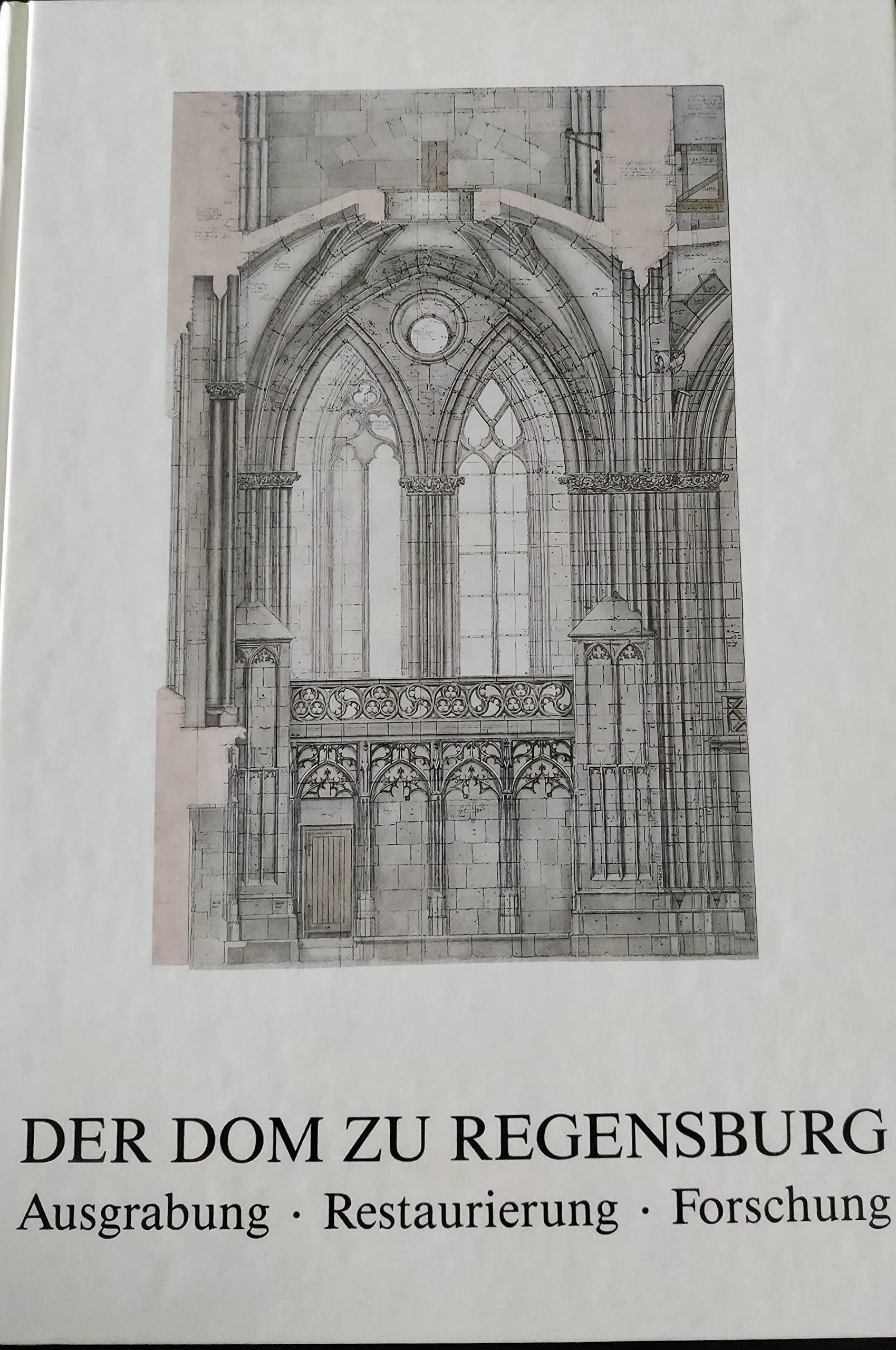 Der Dom zu Regensburg: Ausgrabung - Restaurierung - Forschung (Ausstellungskataloge / Kunstsammlung des Bistums Regensburg / Diözesanmuseum Regensburg) Film, Art & Culture
