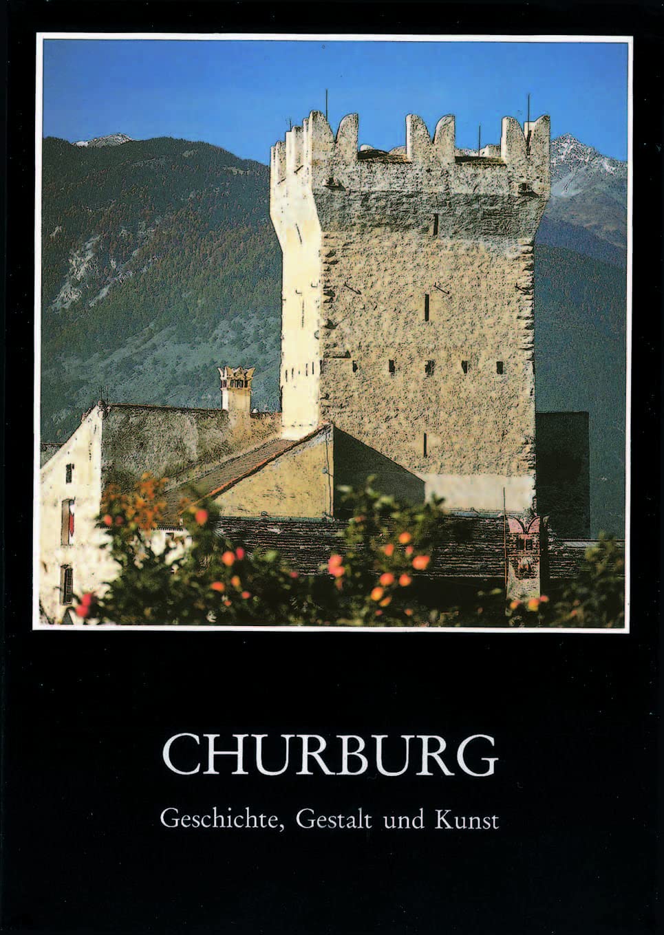 Churburg: Geschichte, Gestalt, Kunst (Große Kunstführer / Große Kunstführer / Schlösser und Burgen) Architecture