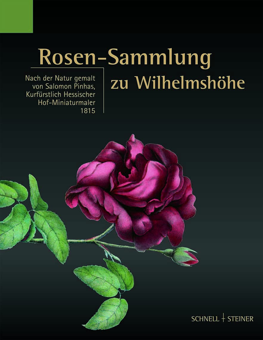 Rosen-Sammlung zu Wilhelmshöhe: Nach der Natur gemalt von Salomon Pinhas, Kurfürstlich Hessischer Hof-Miniaturmaler 1815 (Studien zum Kulturerbe in Hessen) Film, Art & Culture