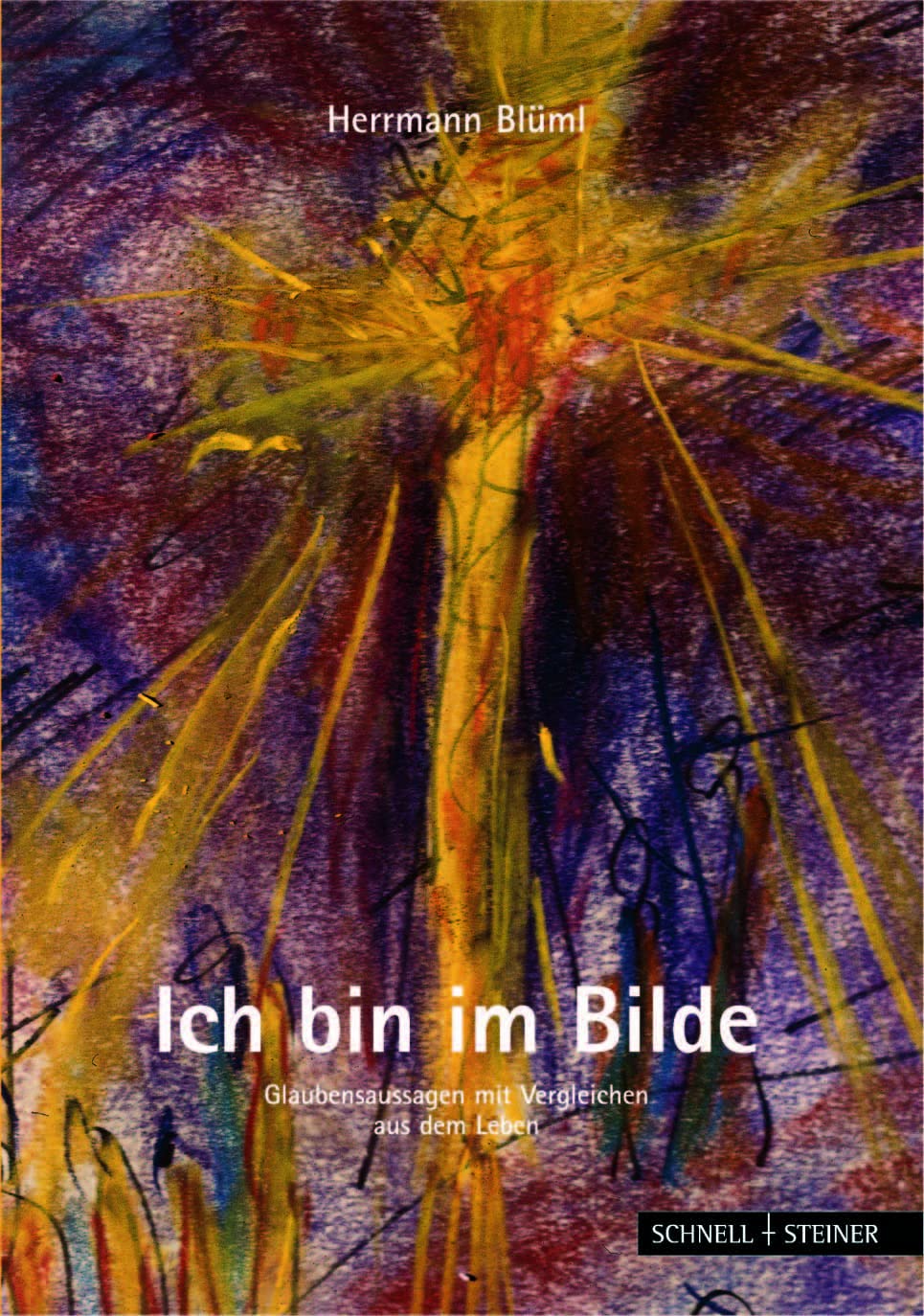 Ich bin im Bilde: Glaubensaussagen mit Vergleichen aus dem Leben Books