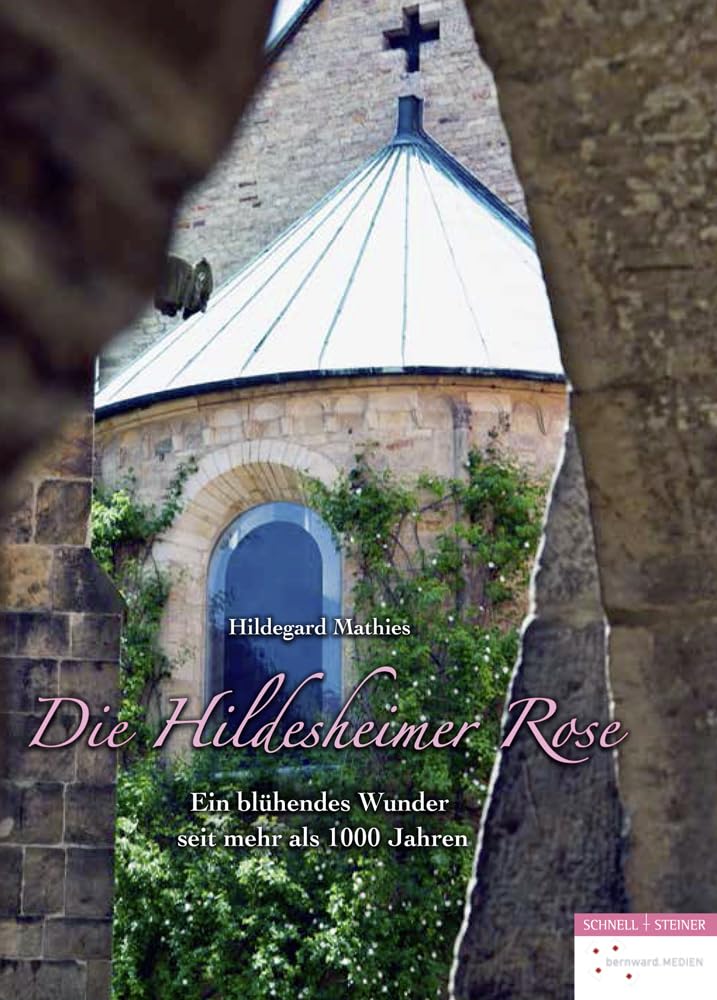 Product Image: Die Hildesheimer Rose