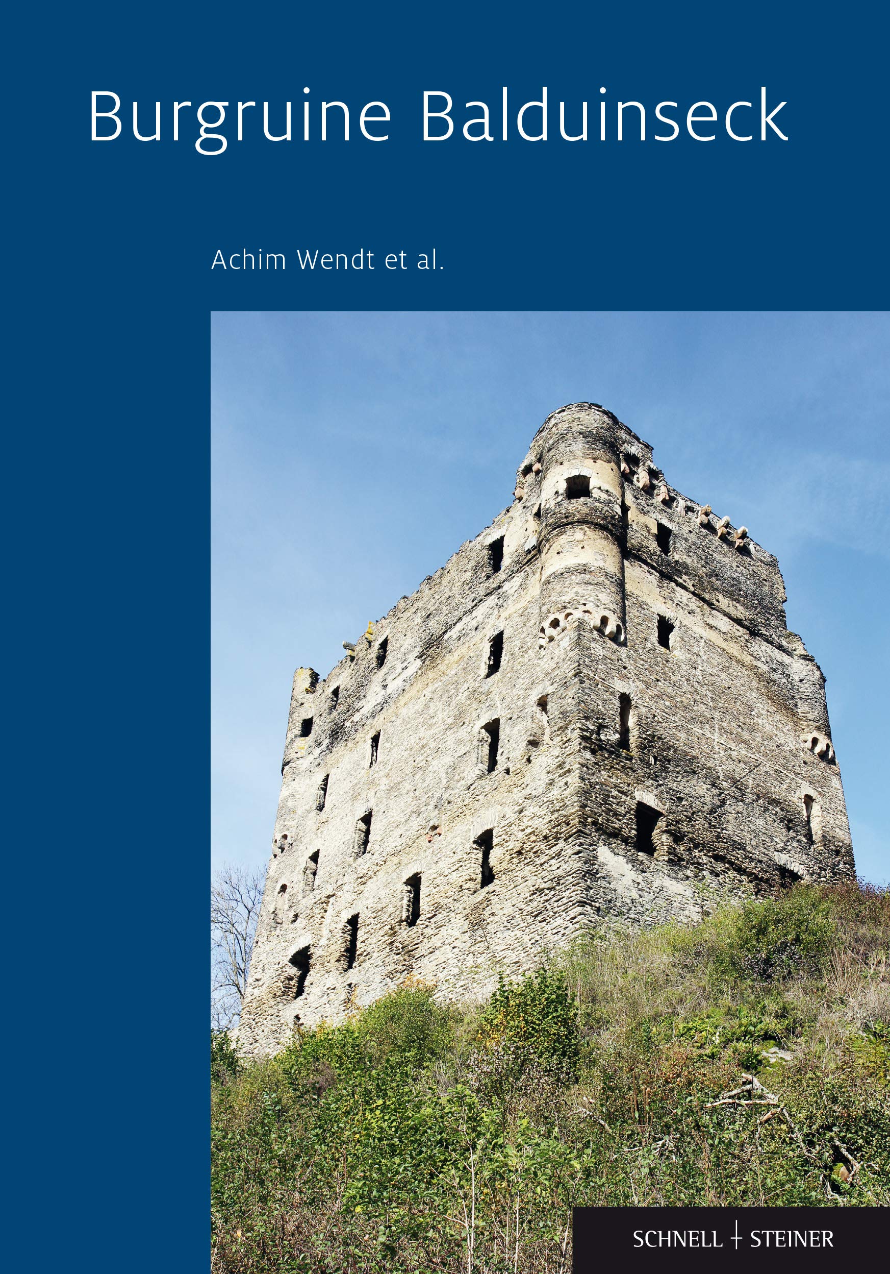 Burgruine Balduinseck book