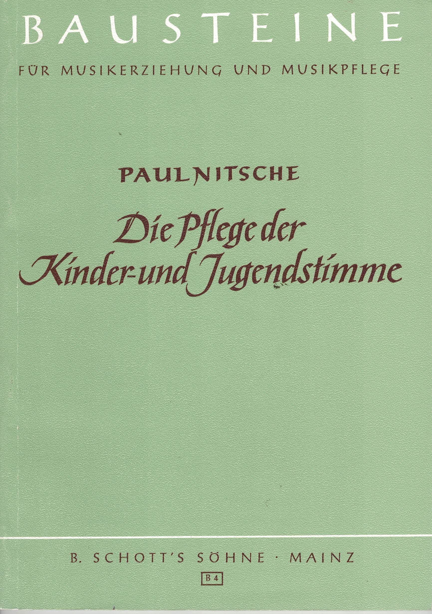 Die Pflege der Kinder- und Jugendstimme: Theoretischer Teil. Band 1. (Bausteine für Musikerziehung und Musikpflege) Arts & Music