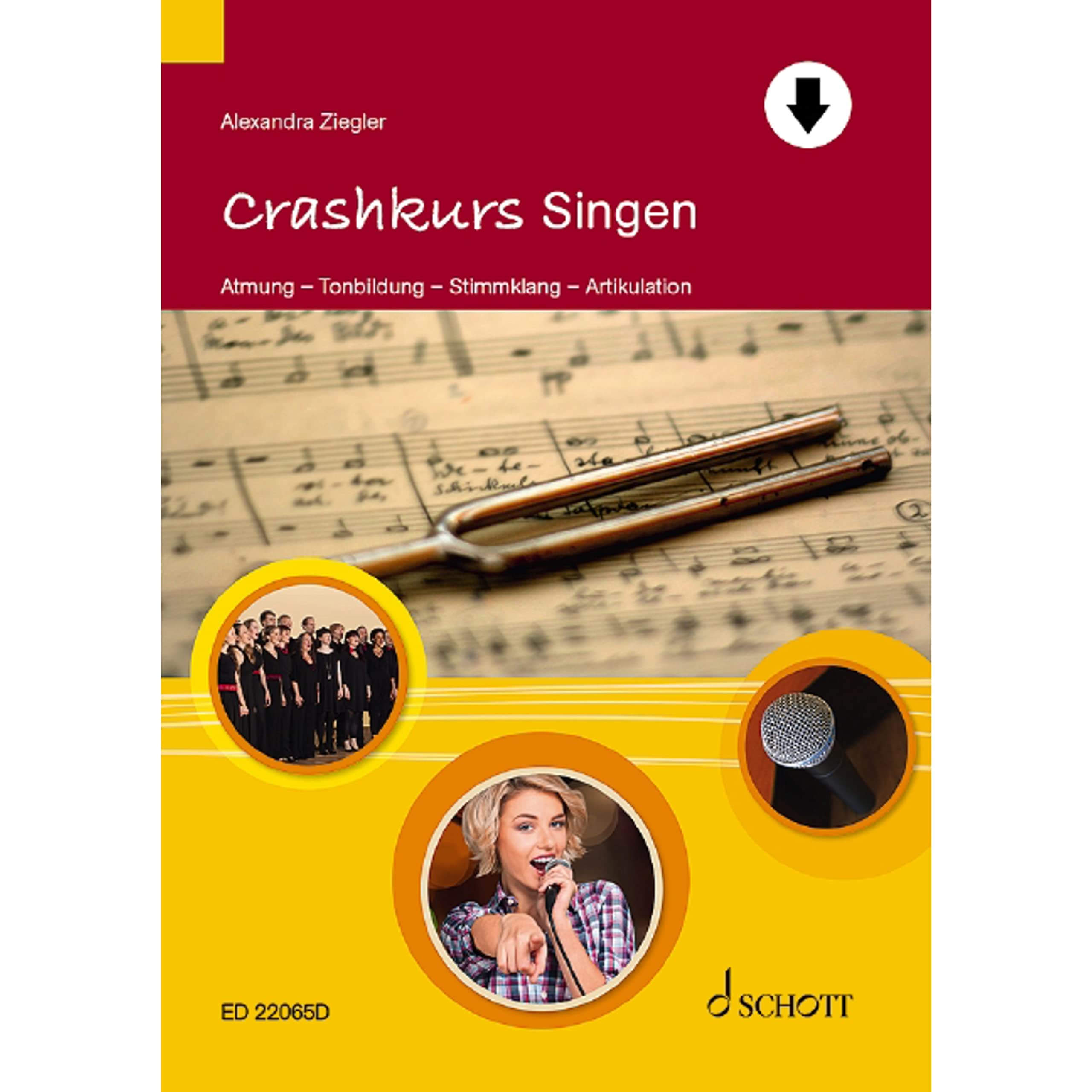 Product Image: Crashkurs Singen