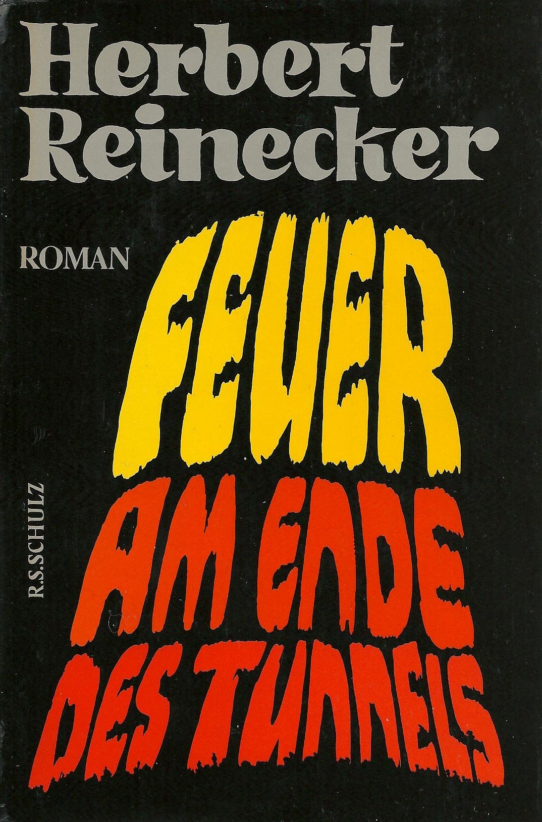 Feuer am Ende des Tunnels: Roman Books