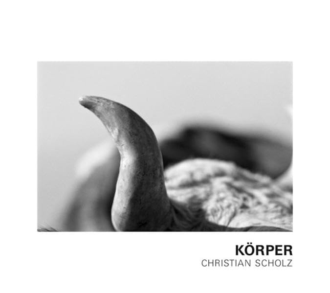 Christian Scholz - Körper: Vorw. v. Martin Heller Travel