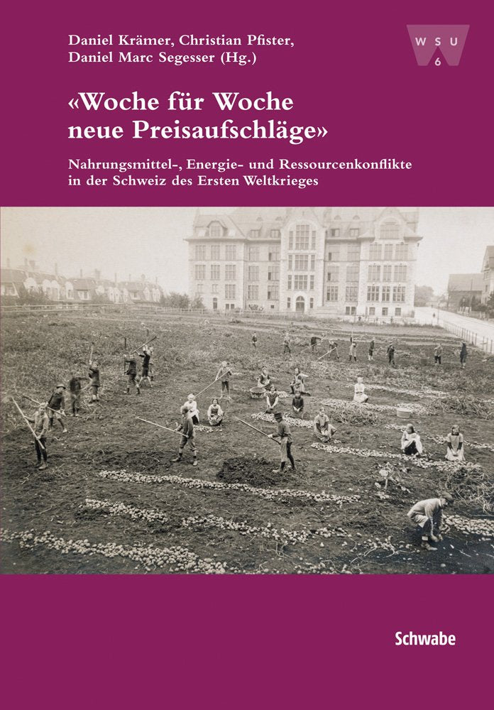 «Woche für Woche neue Preisaufschläge»: Nahrungsmittel-, Energie- und Ressourcenkonflikte in der Schweiz des Ersten Weltkrieges (Wirtschafts-, Sozial- und Umweltgeschichte, Band 6) Business, Finance & Career