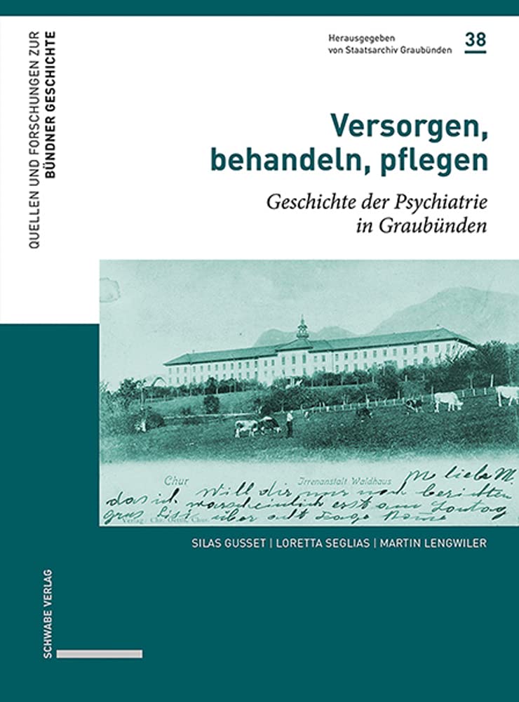 Versorgen, behandeln, pflegen: Geschichte der Psychiatrie in Graubünden (Quellen und Forschungen zur Bündner Geschichte) Politics & History