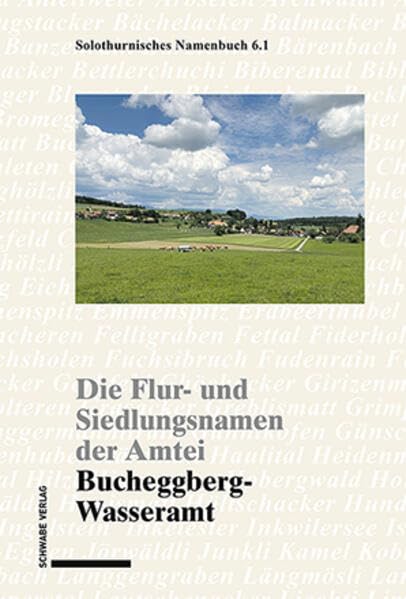 Solothurnisches Namenbuch: Die Flur- und Siedlungsnamen der Amtei Bucheggberg-Wasseramt Foreign Languages ​​& Dictionaries