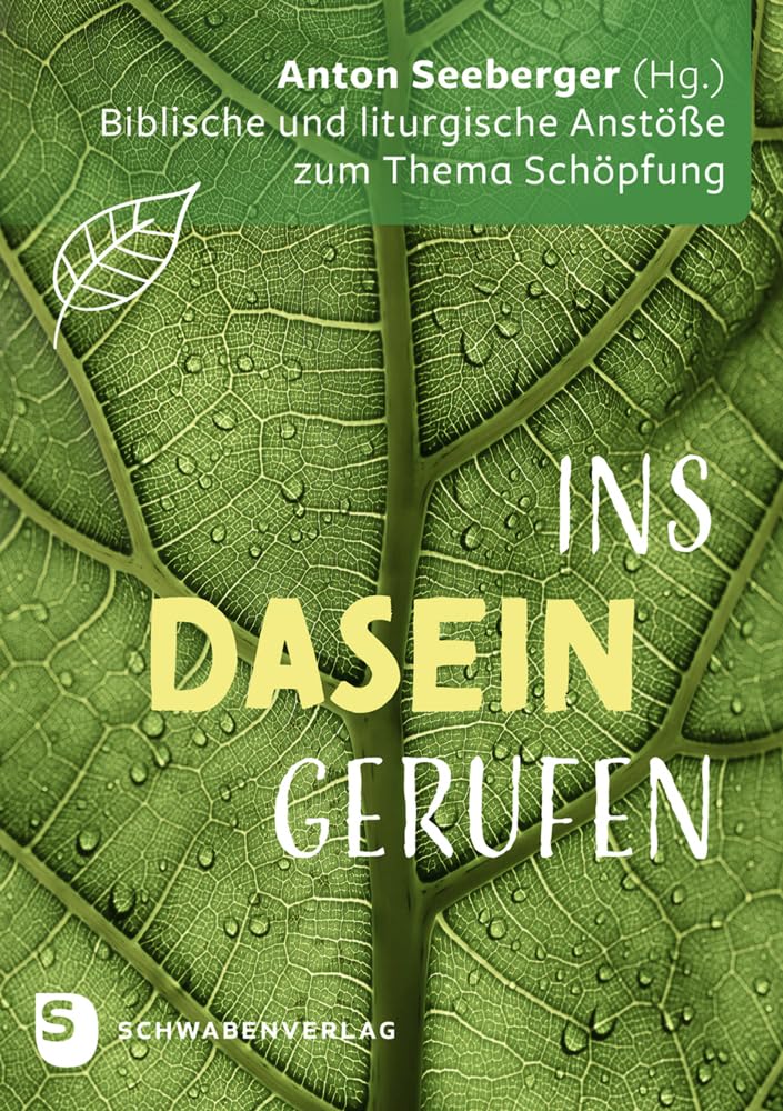 Product Image: Ins Dasein gerufen