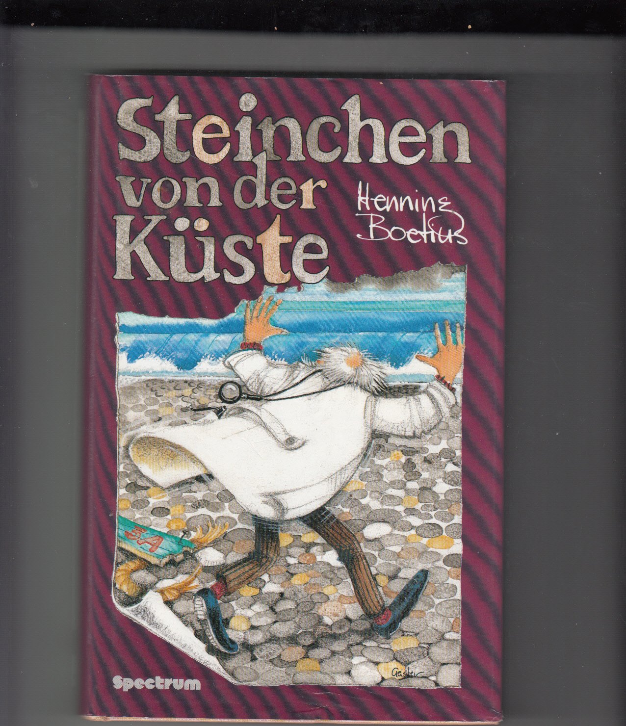 Steinchen von der Küste. ( Ab 10 J.) Books