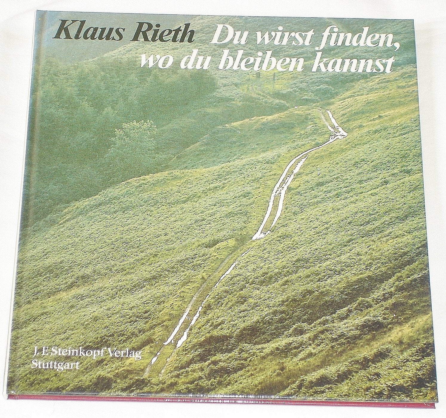 Du wirst finden, wo du bleiben kannst Photography