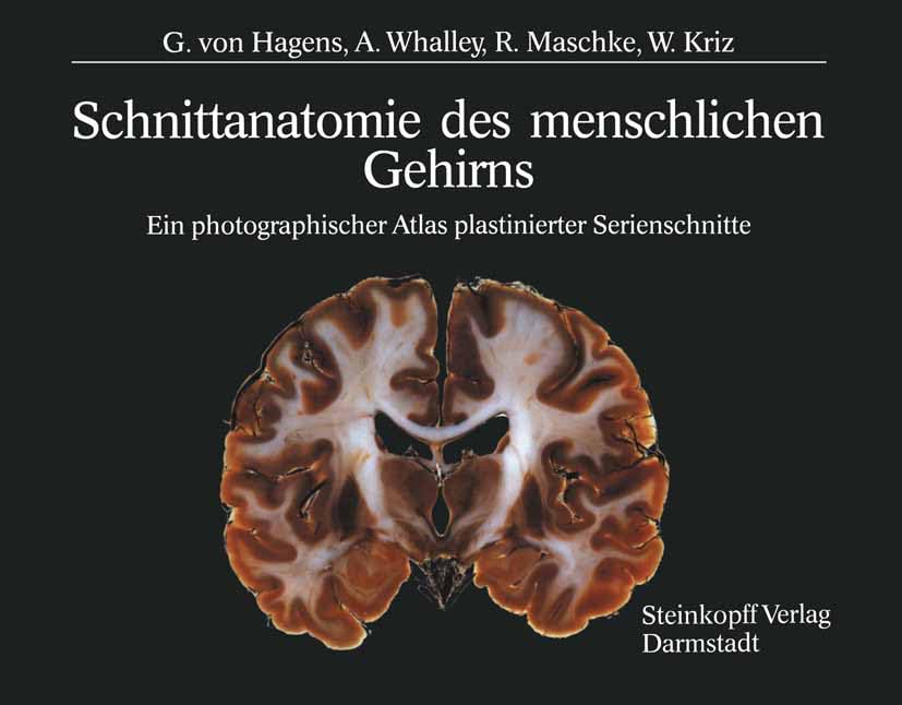 Schnittanatomie des menschlichen Gehirns: Ein photographischer Atlas plastinierter Serienschnitte Medicine