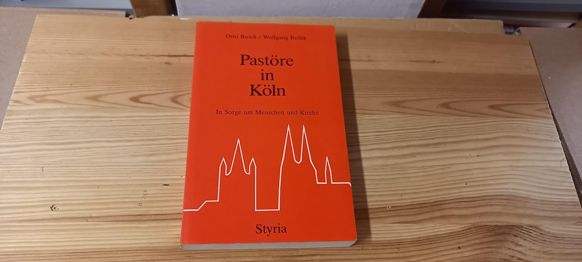 Pastöre in Köln. In Sorge um Menschen und Kirche Books
