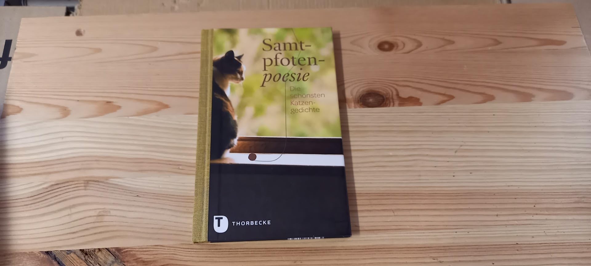 Samtpfotenpoesie: Die schönsten Katzengedichte Pets