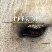 Pferde Pets