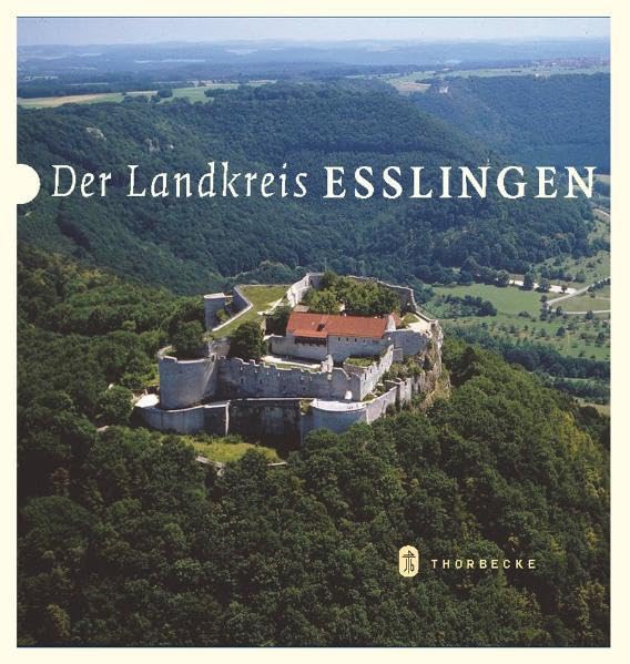 Der Landkreis Esslingen: Hrsg.: Landesarchiv Baden-Württemberg in Verbindung m. d. Landkreis Esslingen (Kreisbeschreibungen des Landes Baden-Württemberg) Politics & History