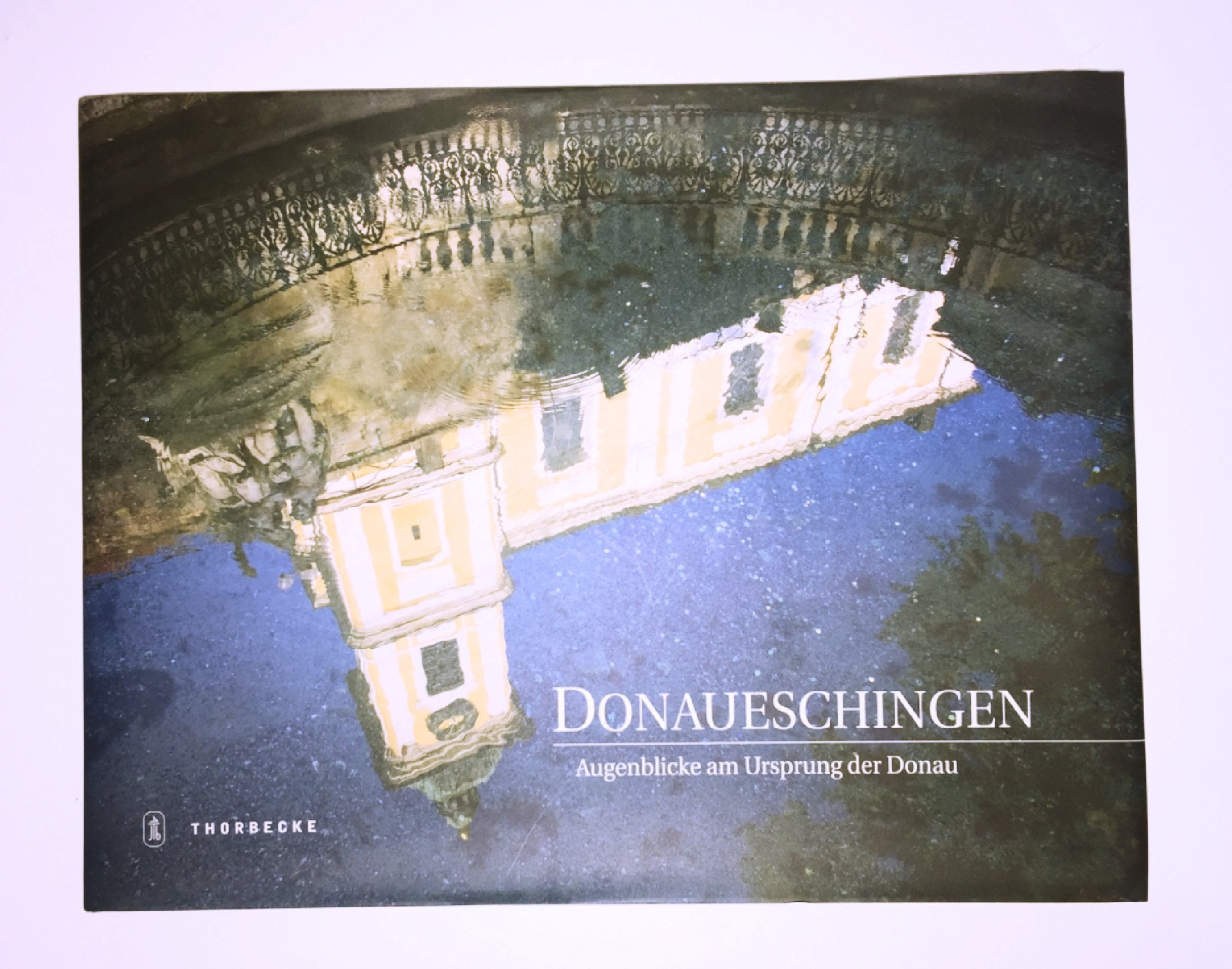 Donaueschingen: Augenblicke am Ursprung der Donau Politics & History