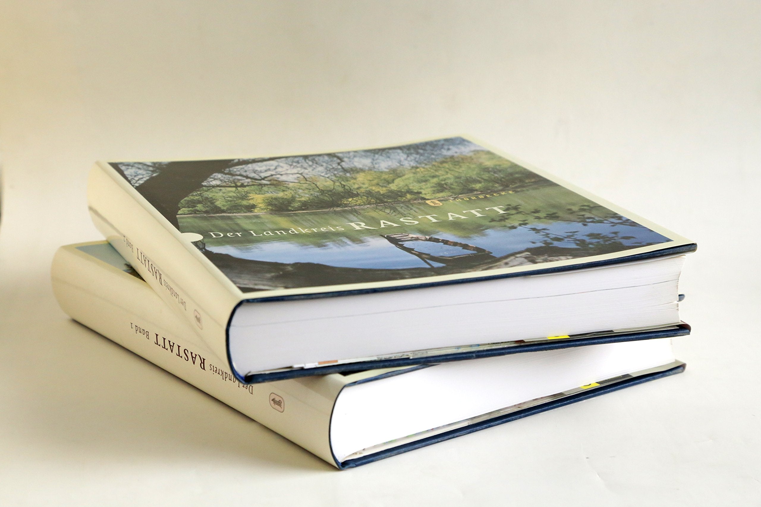 Der Landkreis Rastatt: Hrsg.: Landesarchivdirektion Baden-Württemberg in Verbindung mit dem Landkreis Rastatt und dem Landesmedienzentrum ... des Landes Baden-Württemberg) Geology & Geography