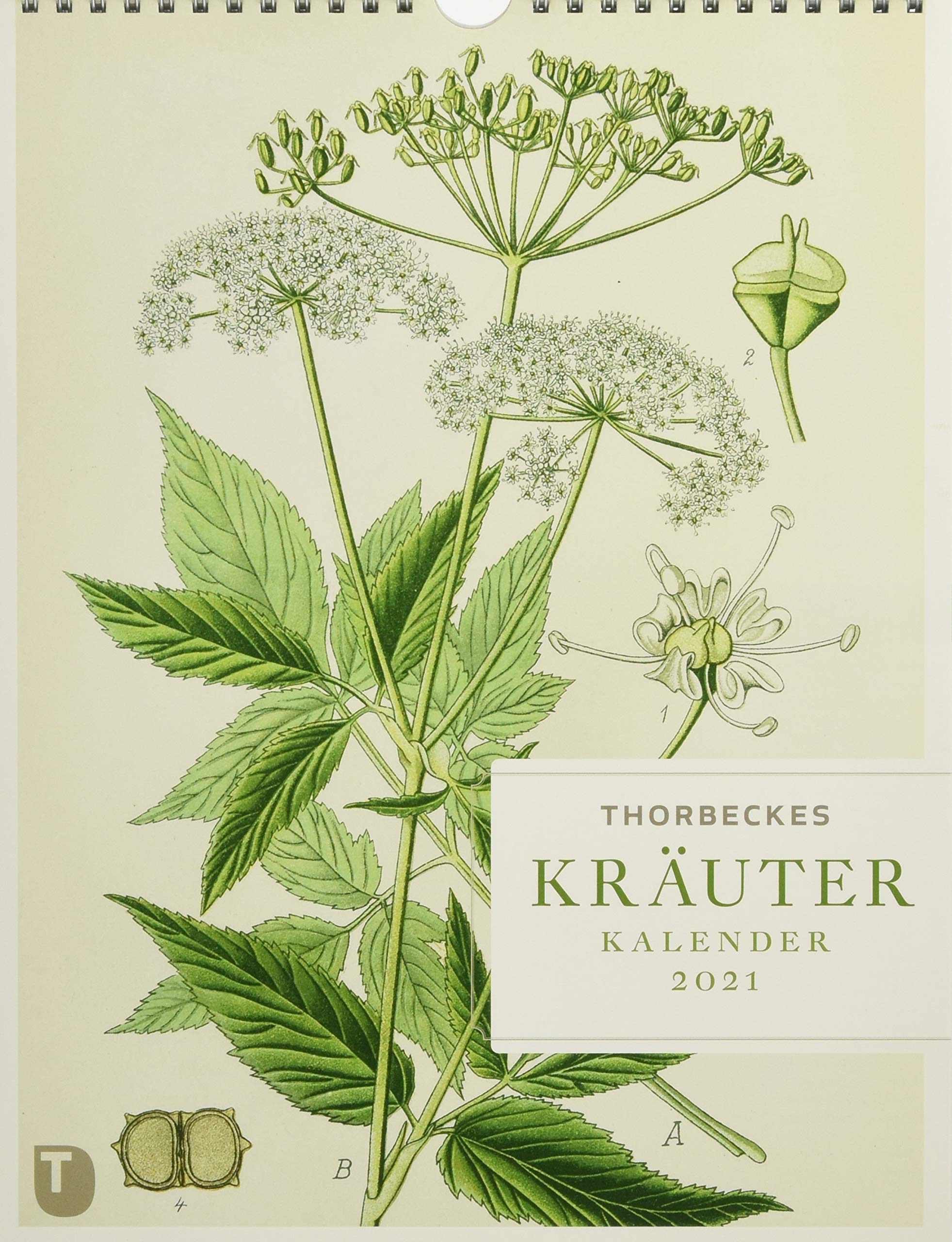 Thorbeckes Kräuter-Kalender 2021 Leisure, Home & Garden