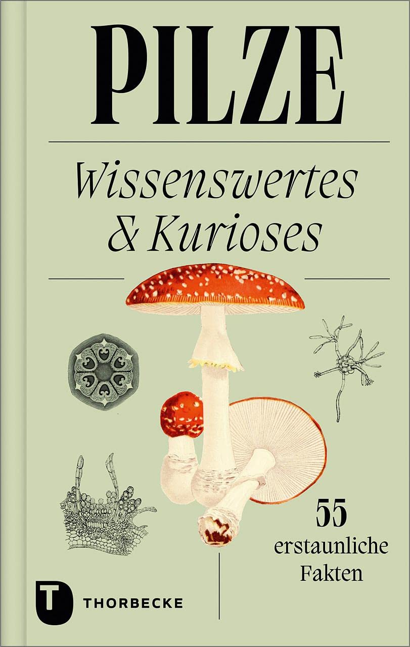 Pilze Leisure, Home & Garden