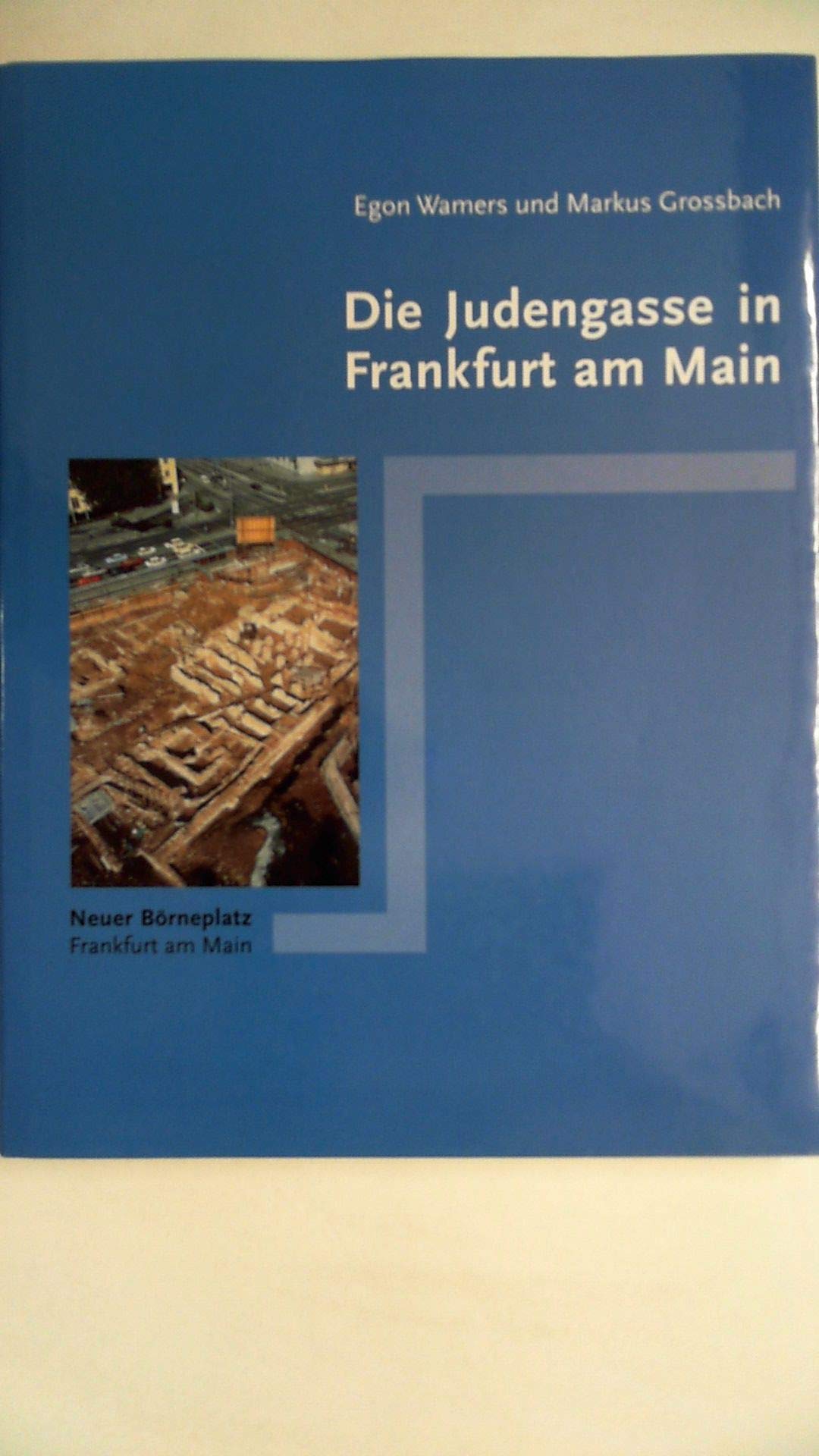Die Judengasse in Frankfurt am Main: Ergebnisse der archäologischen Untersuchungen am Börneplatz Books