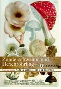 Zunderschwamm und Hexenröhrling: Pilze in alten Bildern und Rezepten Garden & Plants