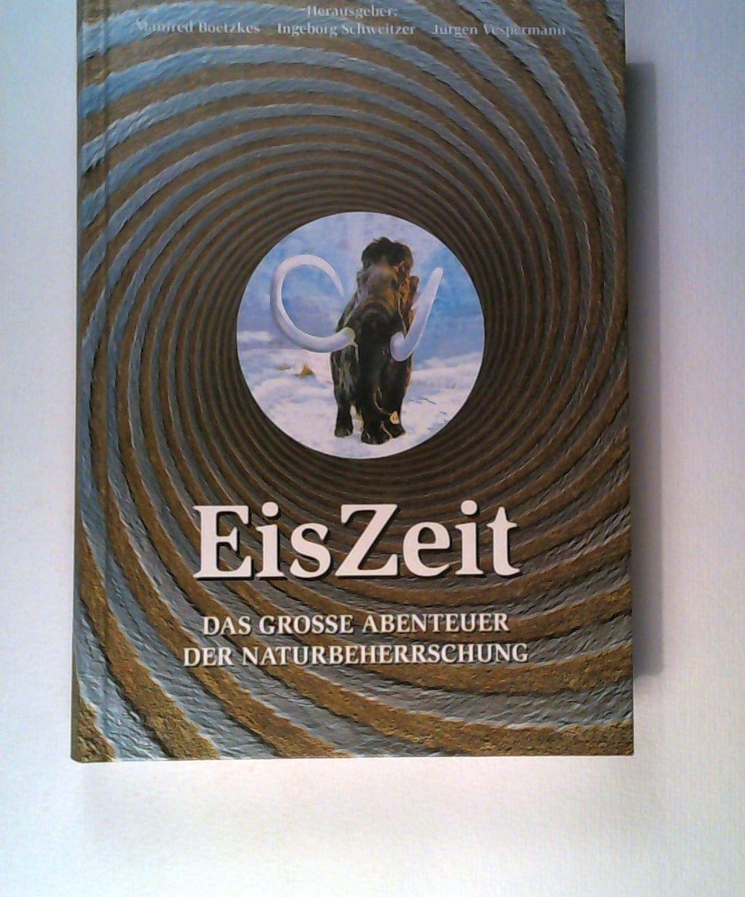 EisZeit Film, Art & Culture