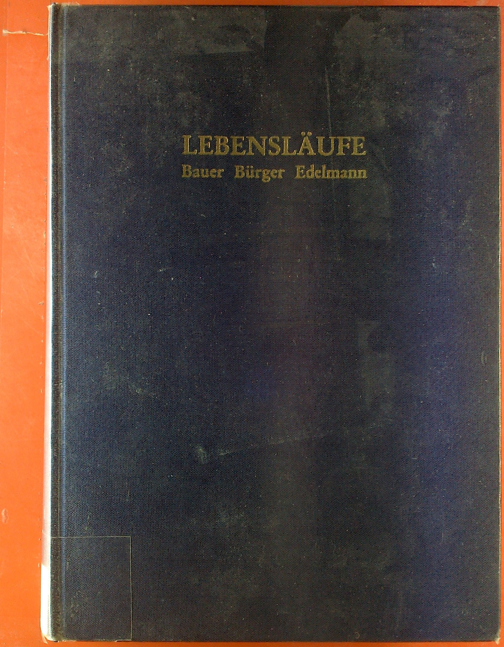 Bauer, Burger, Edelmann: Lebenslaufe. Festgabe Zu Seinem 80. Geburtstag book